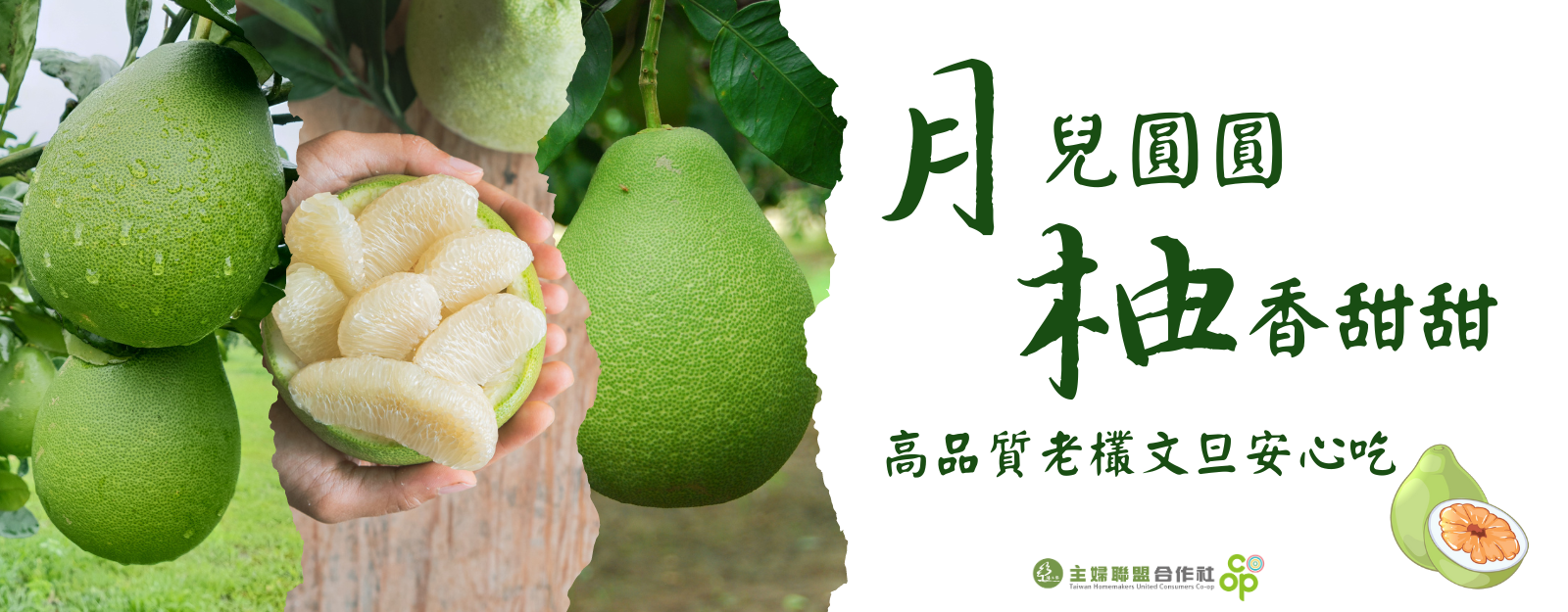 2023柚子特企頁